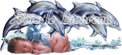 dauphin
