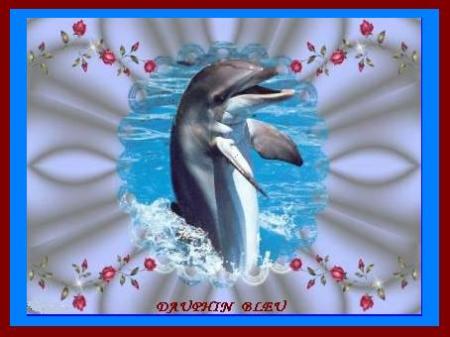 dauphin bleu