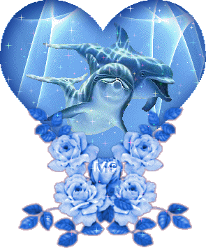 amour de dauphin