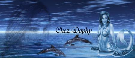 dolfinsgirl c est mon  non sur se blog