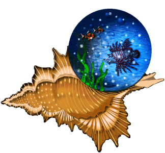 merveille