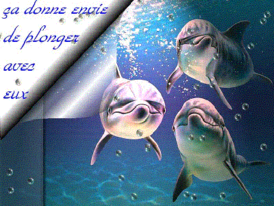 dauphin