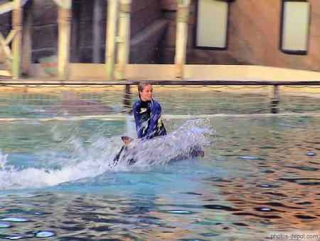 nager avec un duphin
