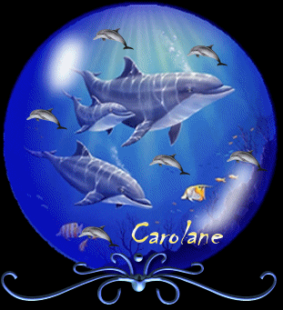 et oui j aime les dauphins
